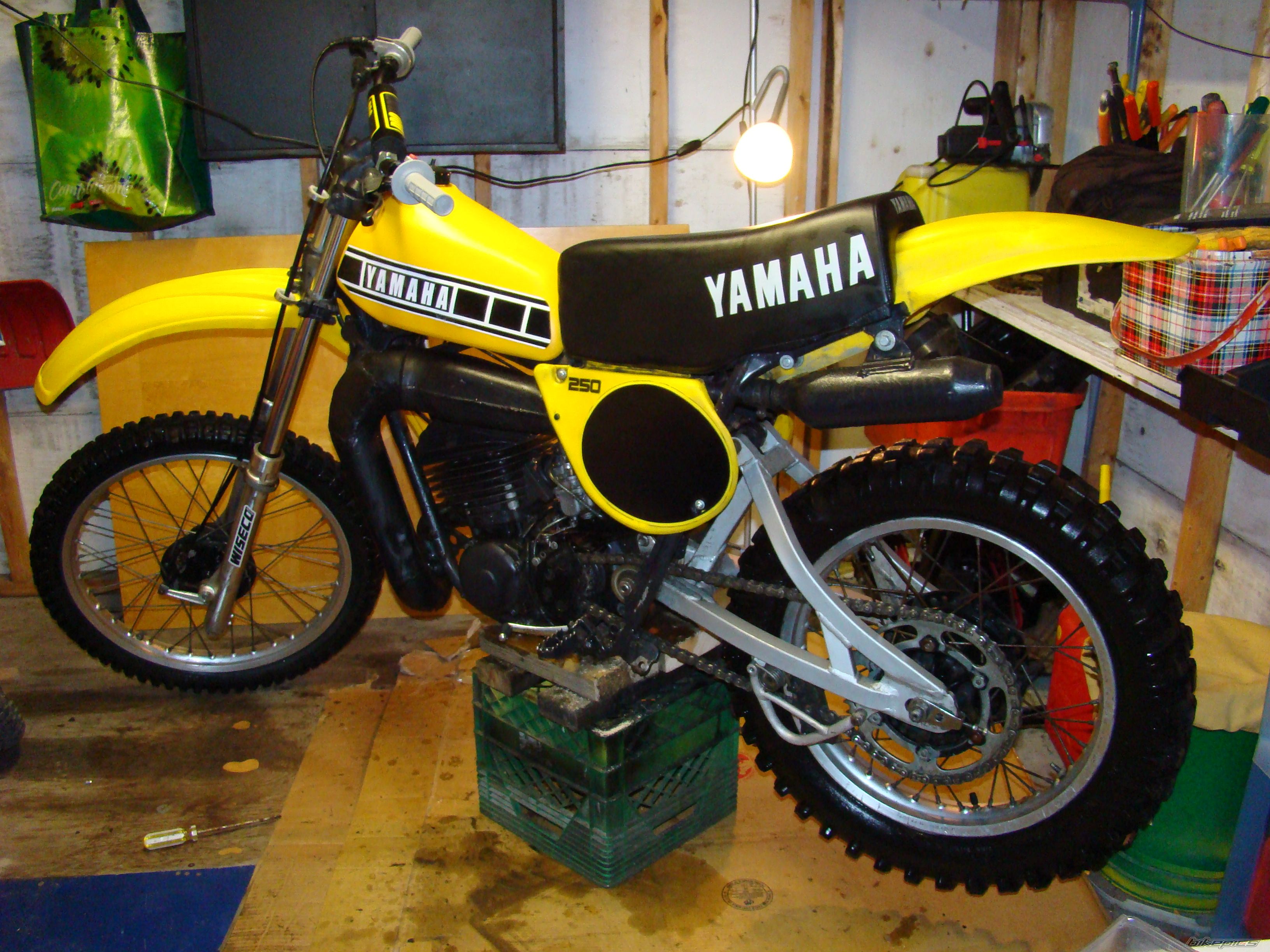 Photo 1462797