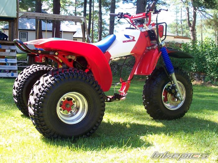 Photo 1462841