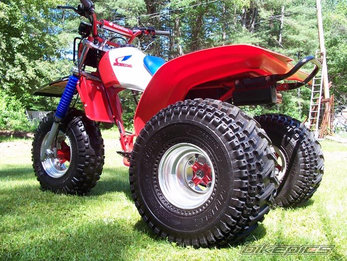 Photo 1462842