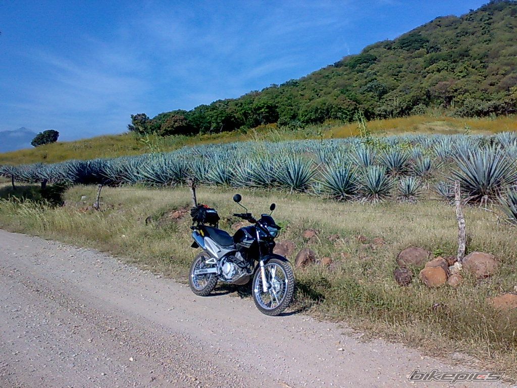 Photo 1462873