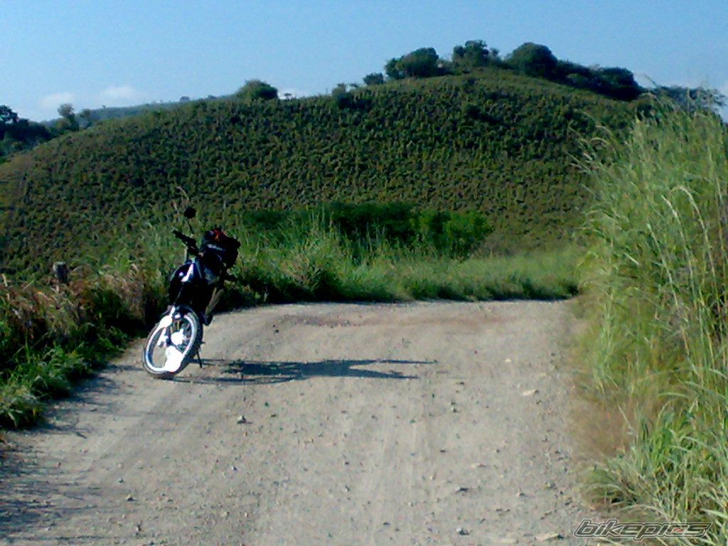Bike Photo 1462874