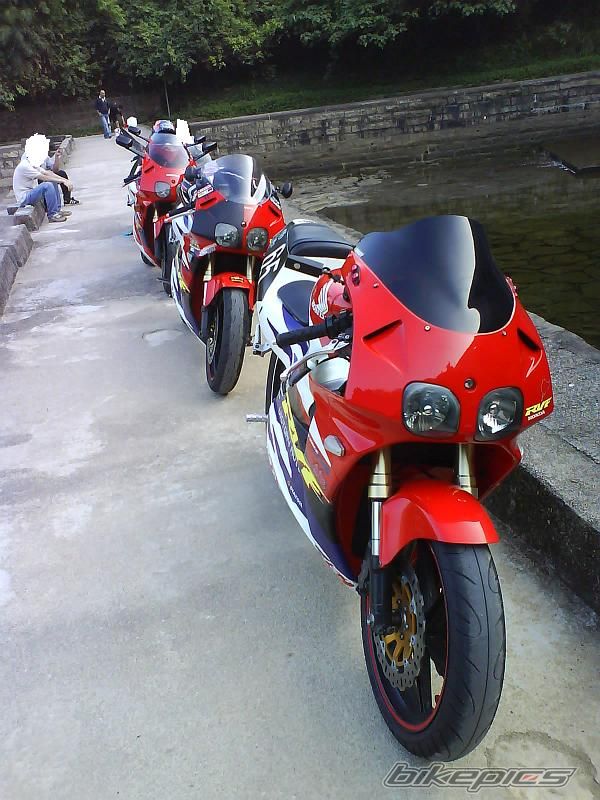 Photo 1462887