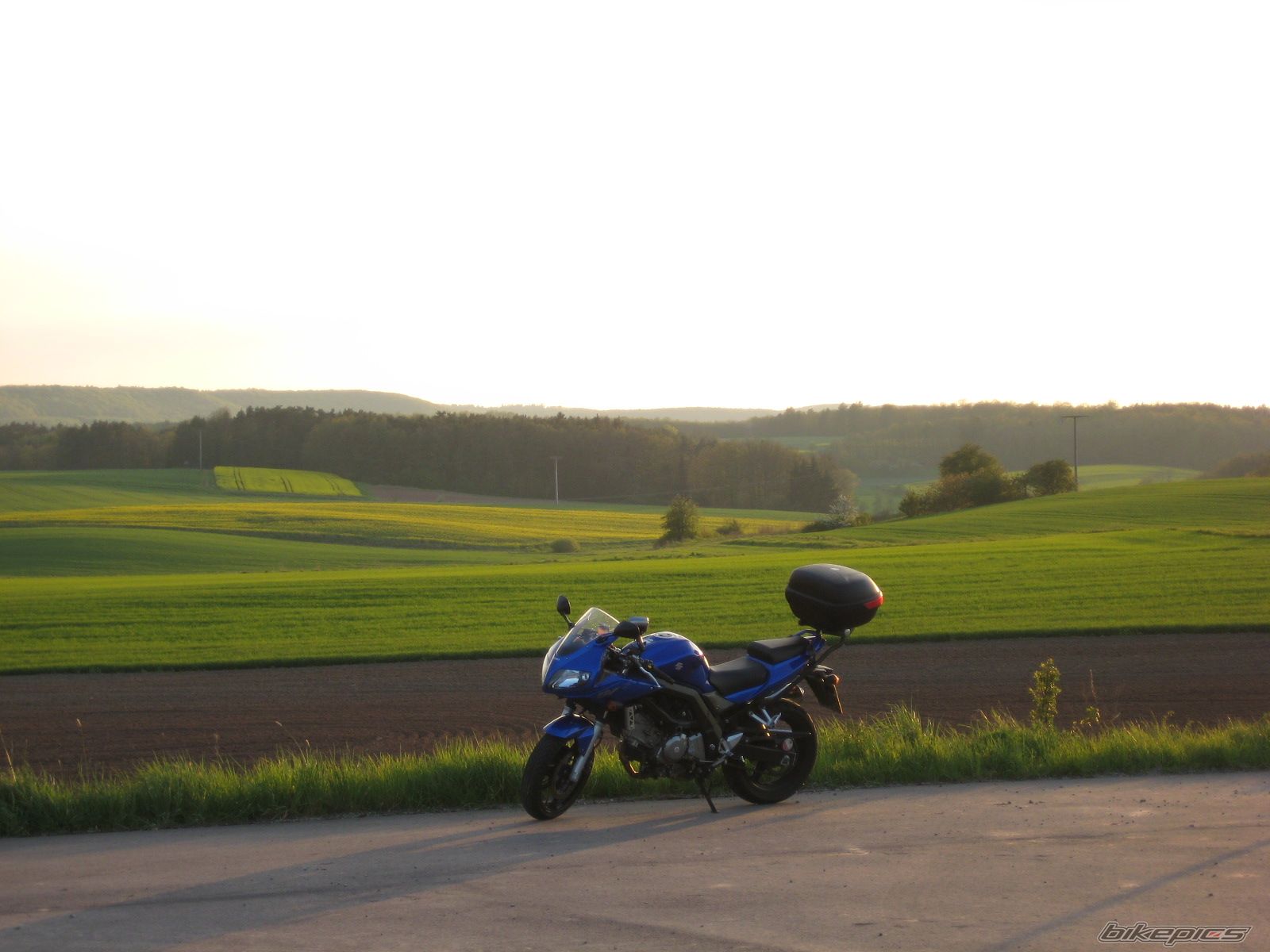 Photo 1462993