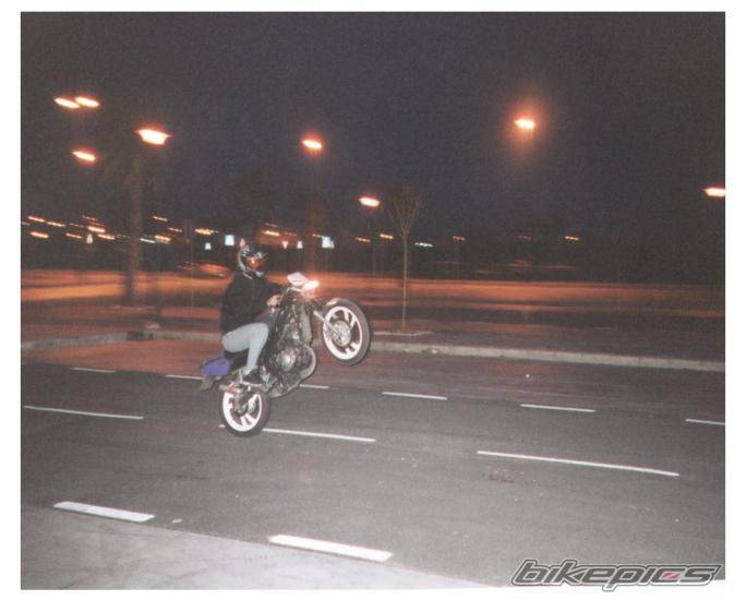 Photo 1463