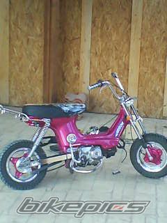 Photo 1463005