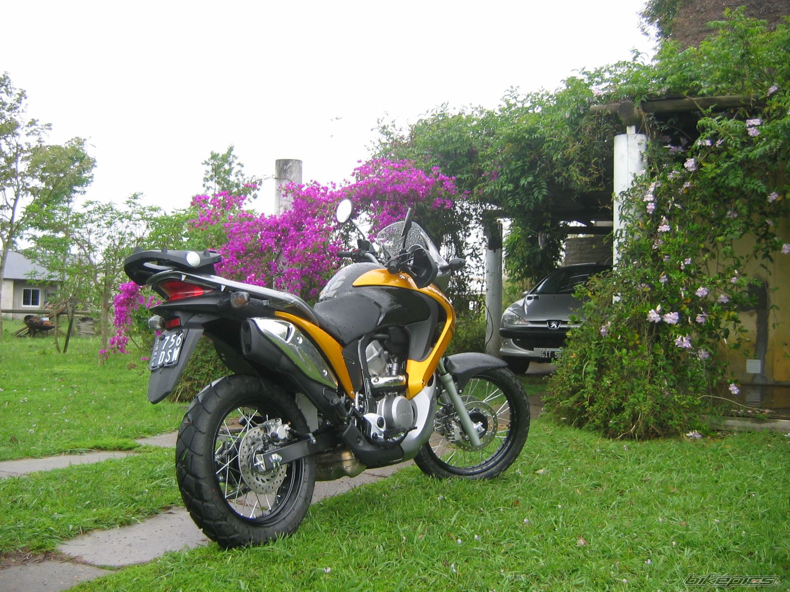 Photo 1463020