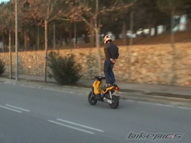 Photo 146303
