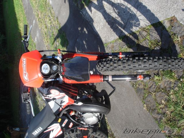 Photo 1463051