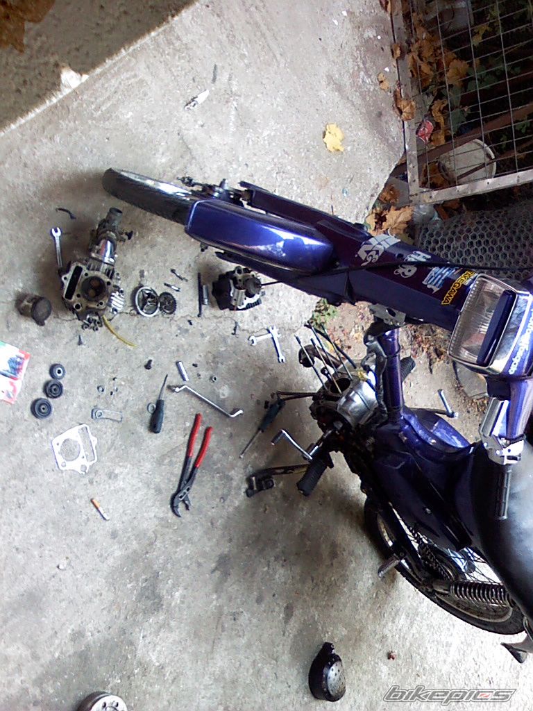 Photo 1463144