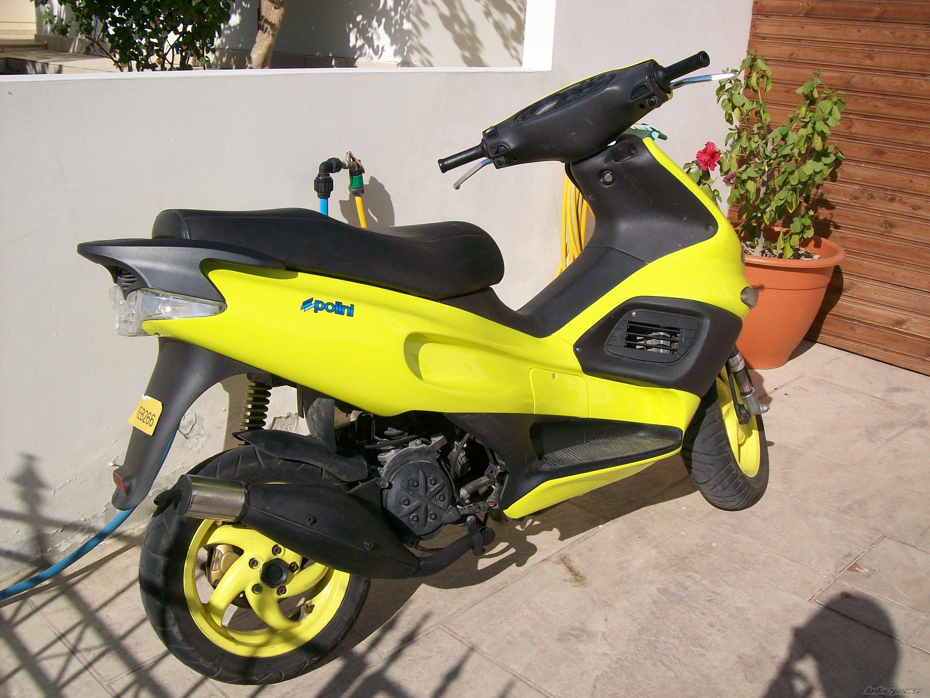 Photo 1463153