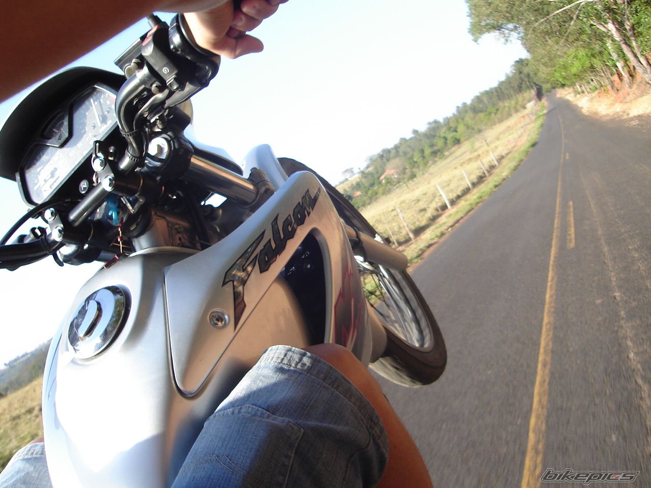Photo 1463155