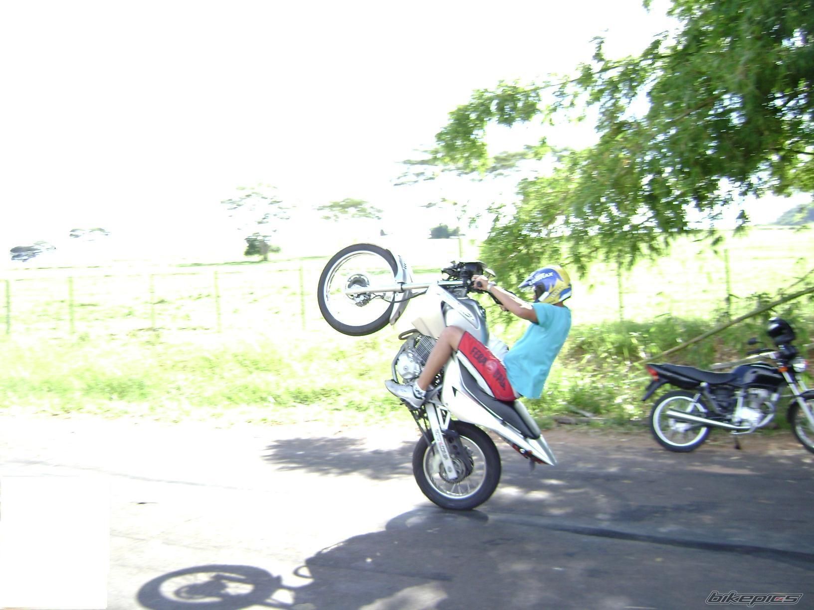 Photo 1463160