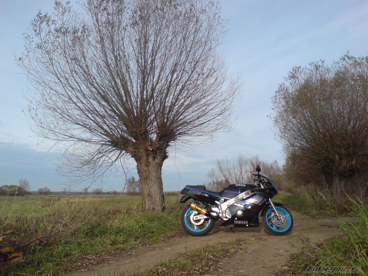 Photo 1463163