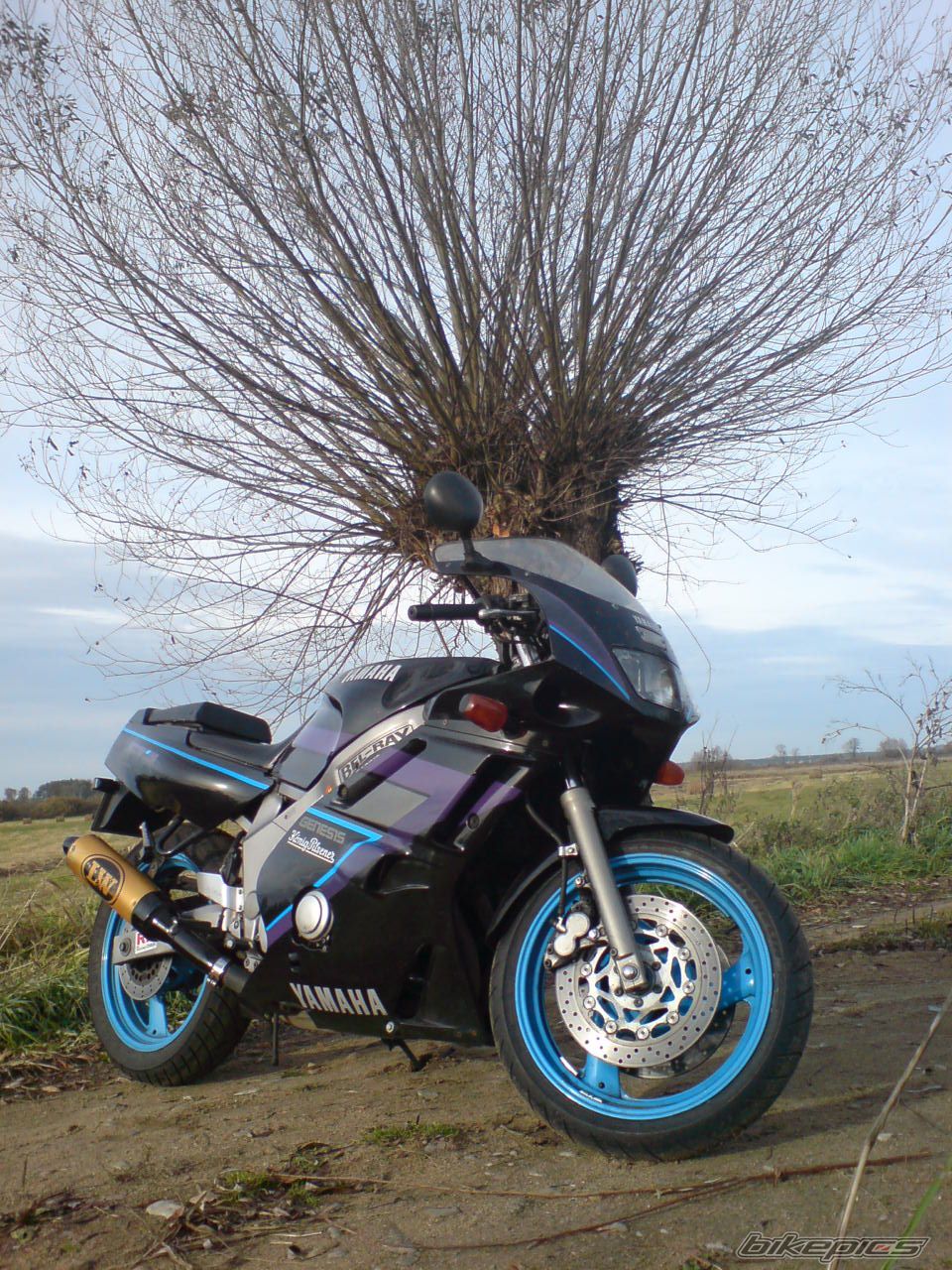 Photo 1463165