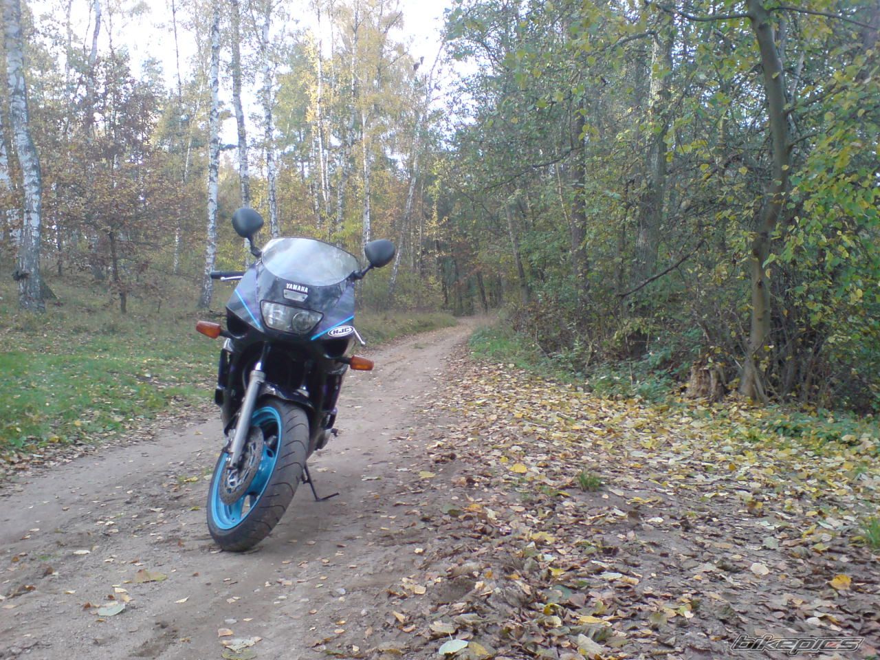 Photo 1463166