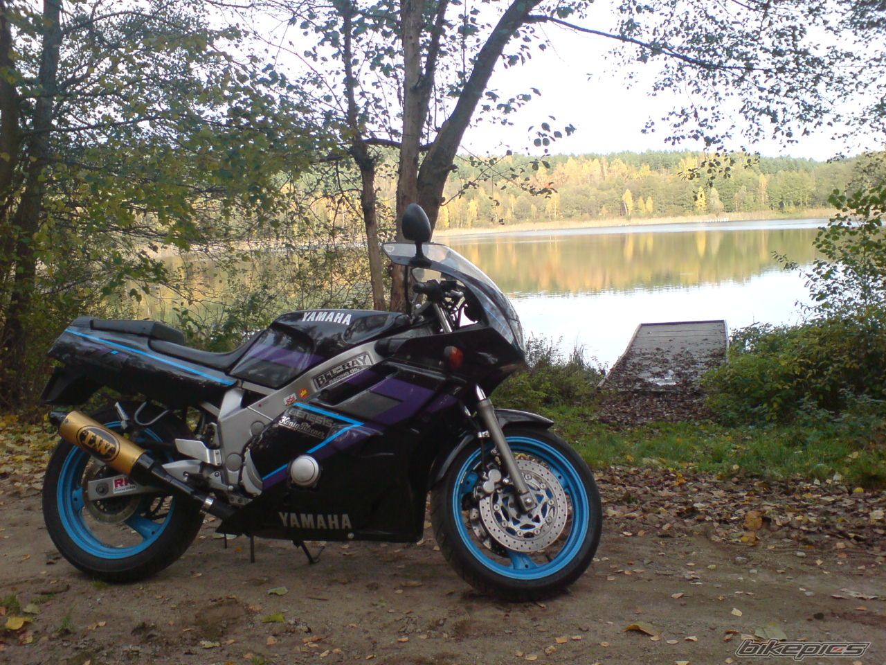 Photo 1463168