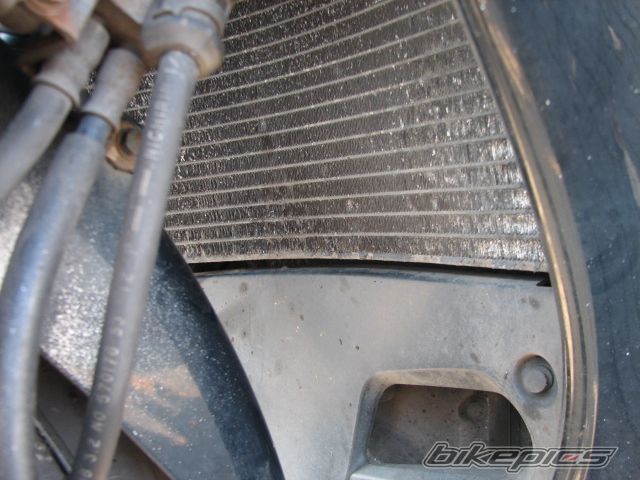 Photo 1463197