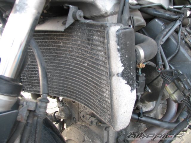 Photo 1463212