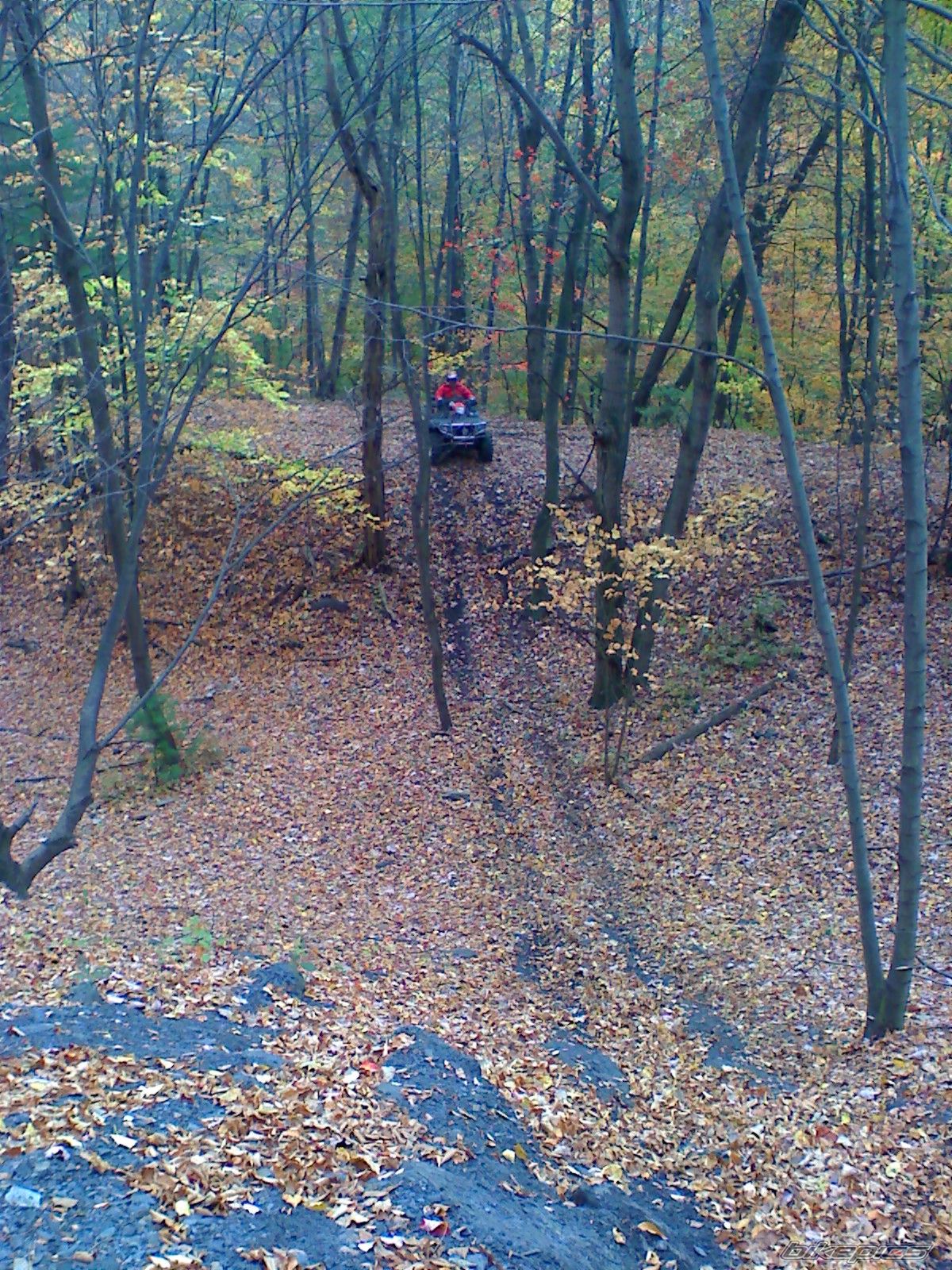Photo 1463220