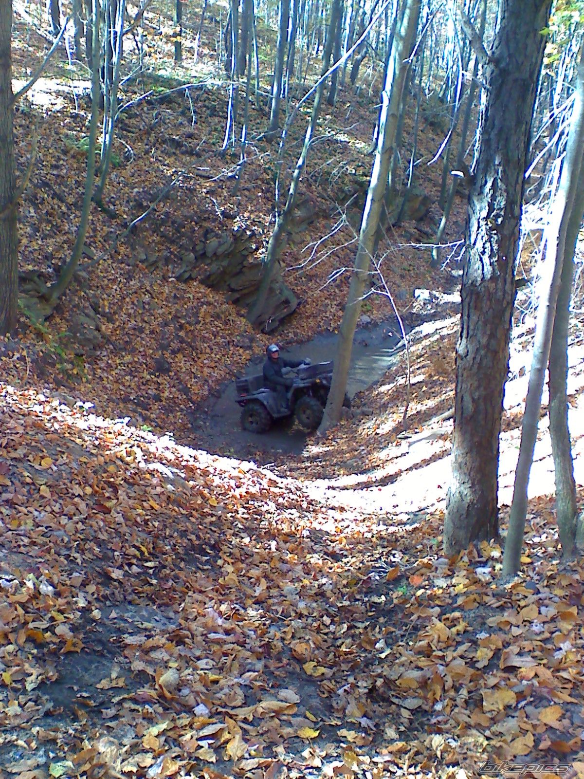 Photo 1463225