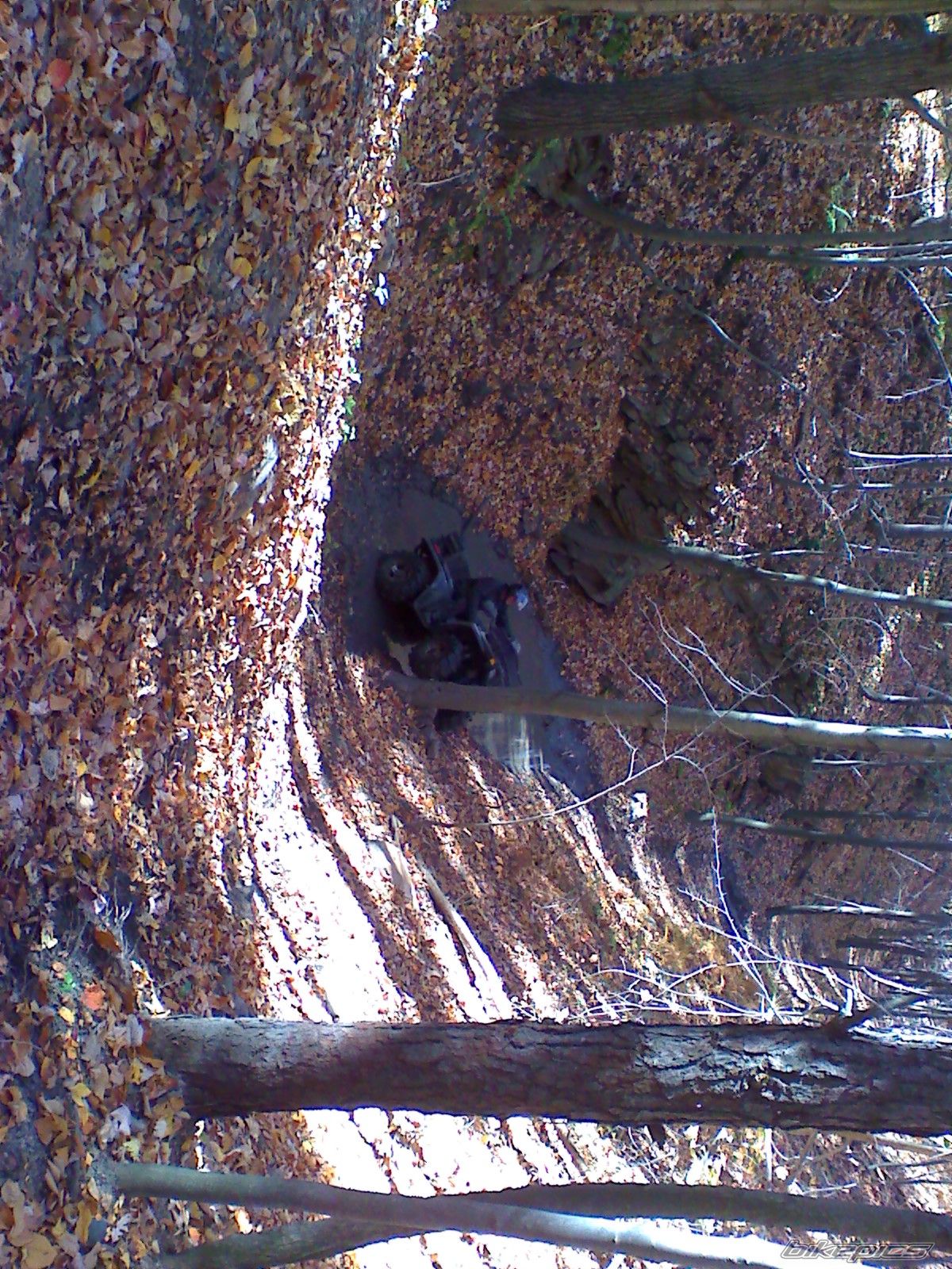Photo 1463226