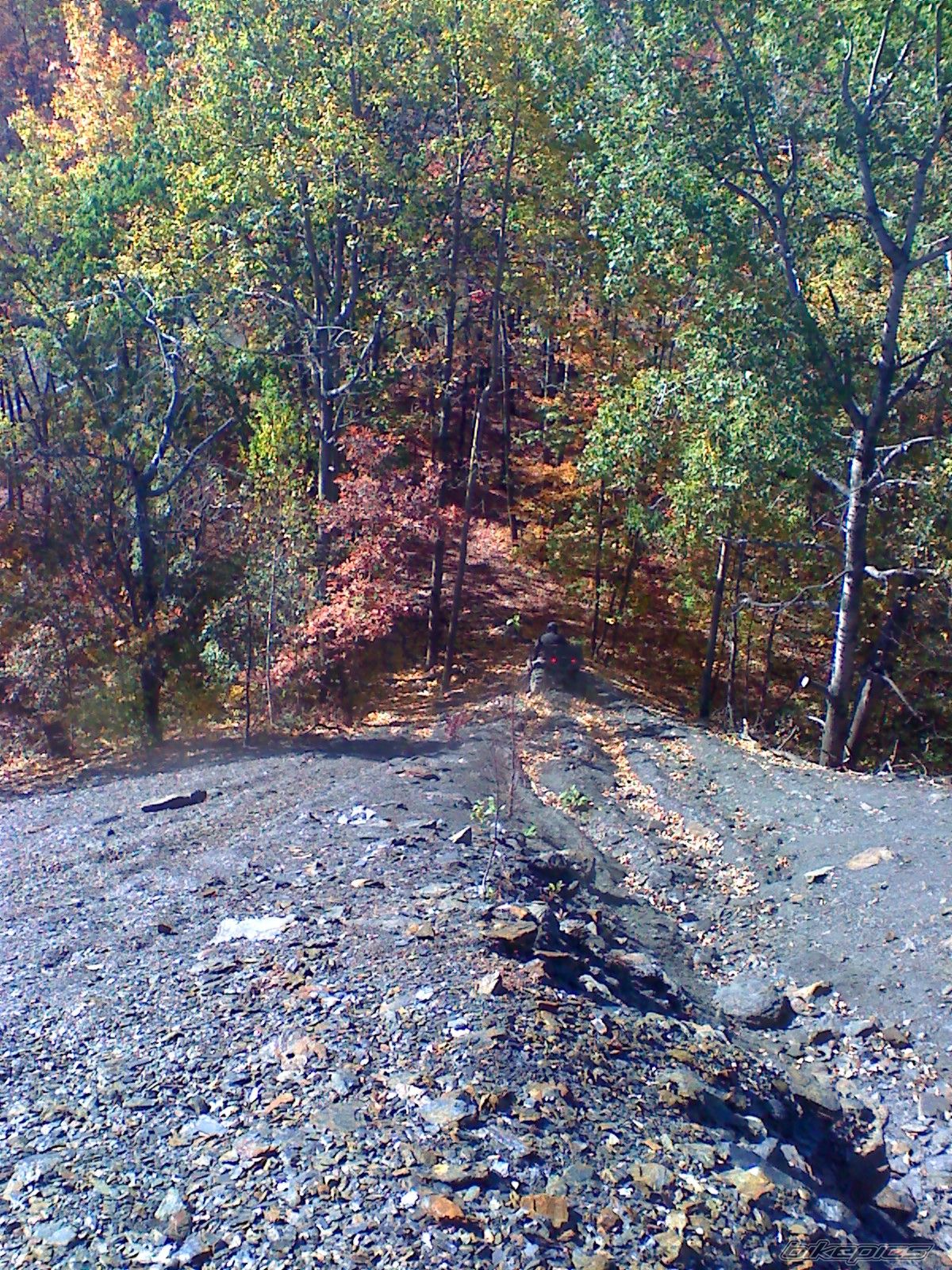 Photo 1463233
