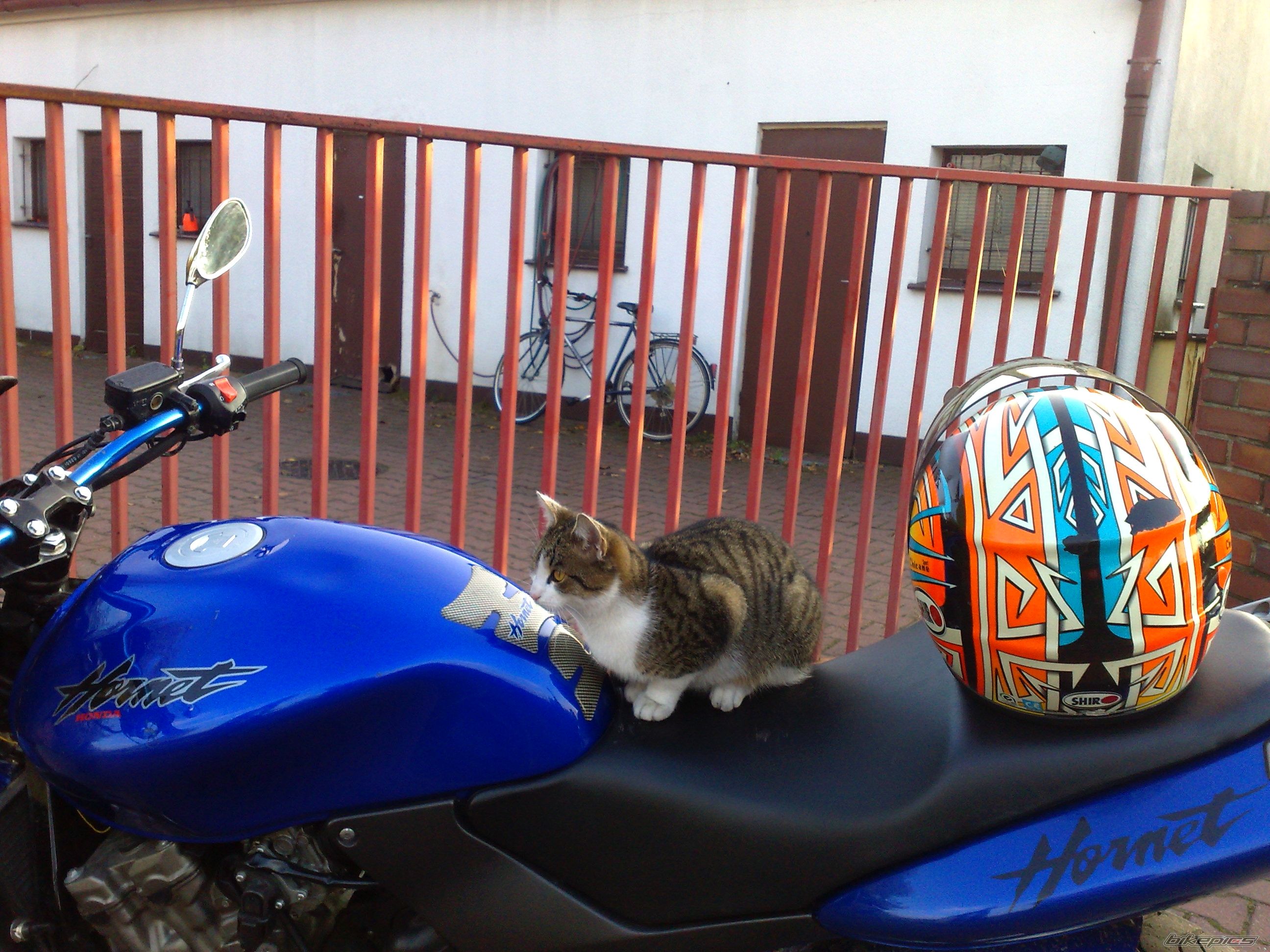 Bike Photo 1463279