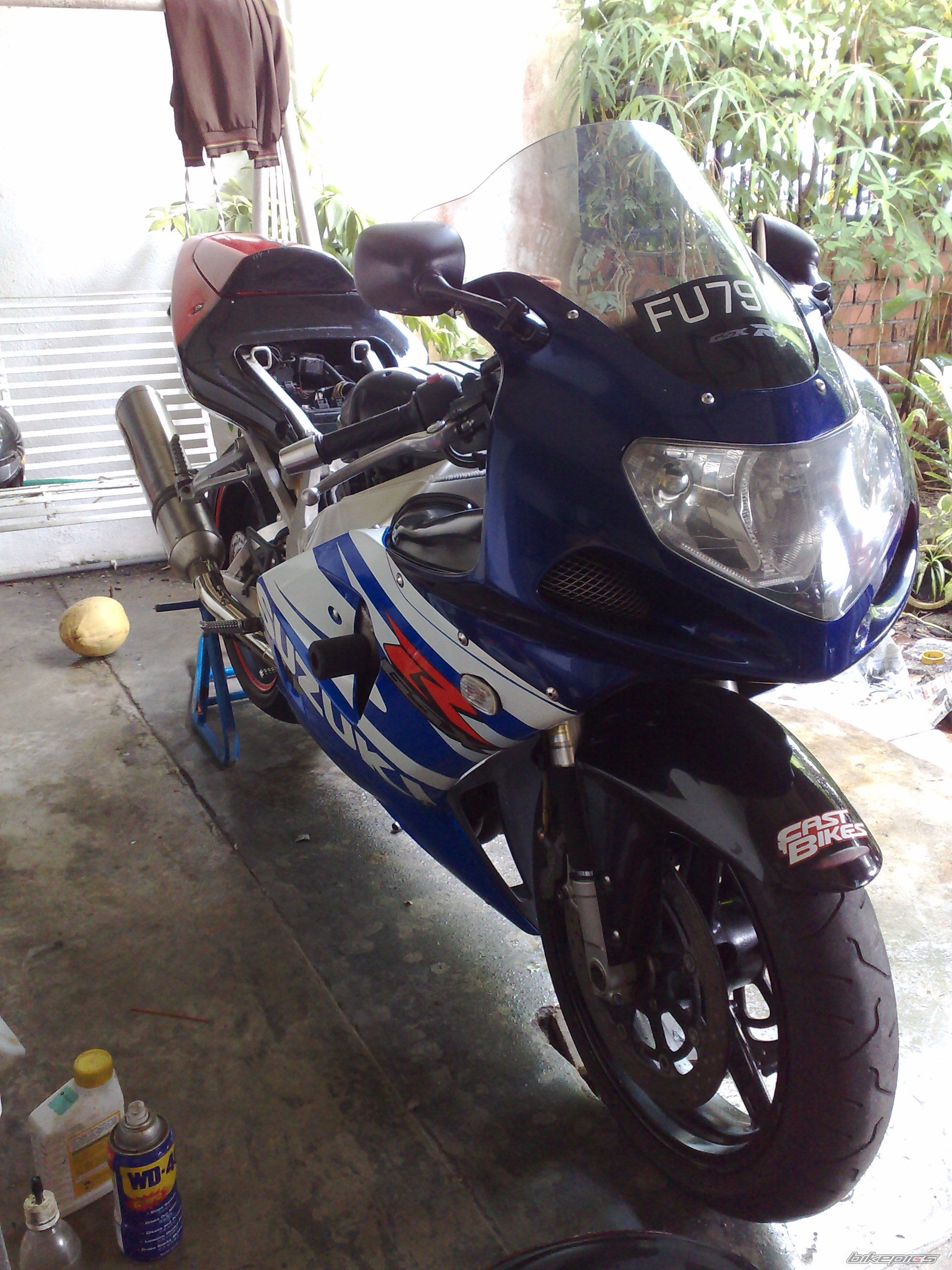 Photo 1463338
