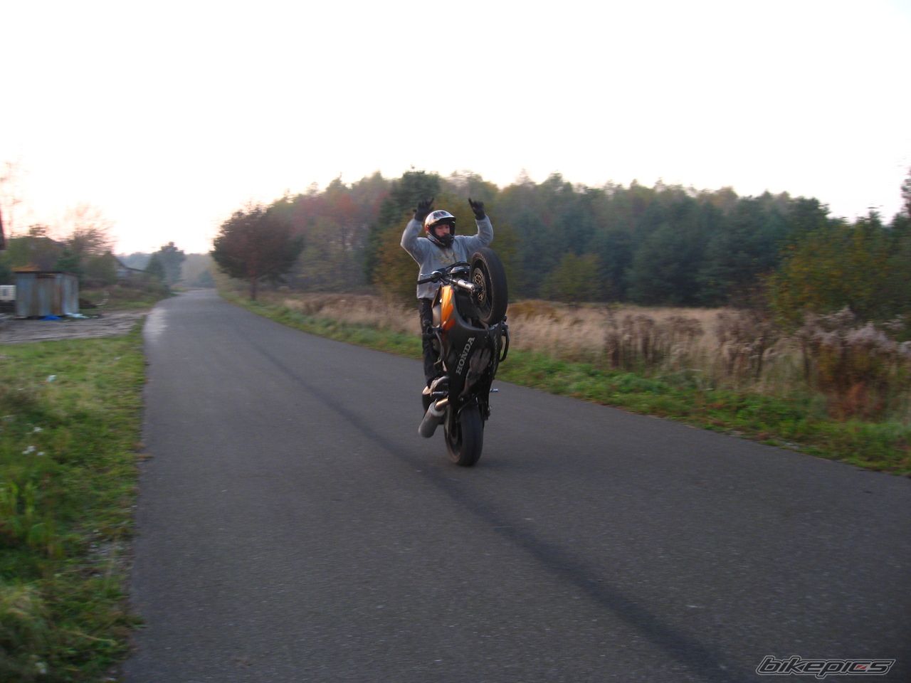 Photo 1463345