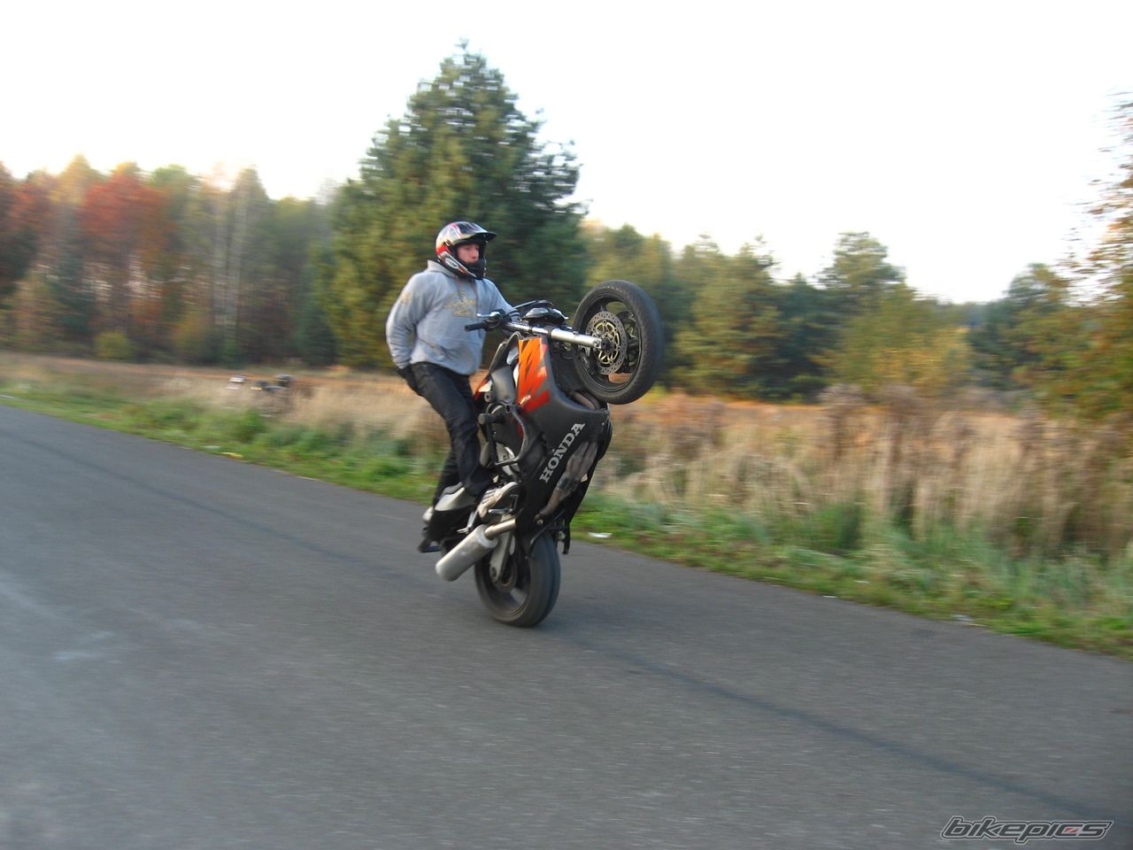 Photo 1463350