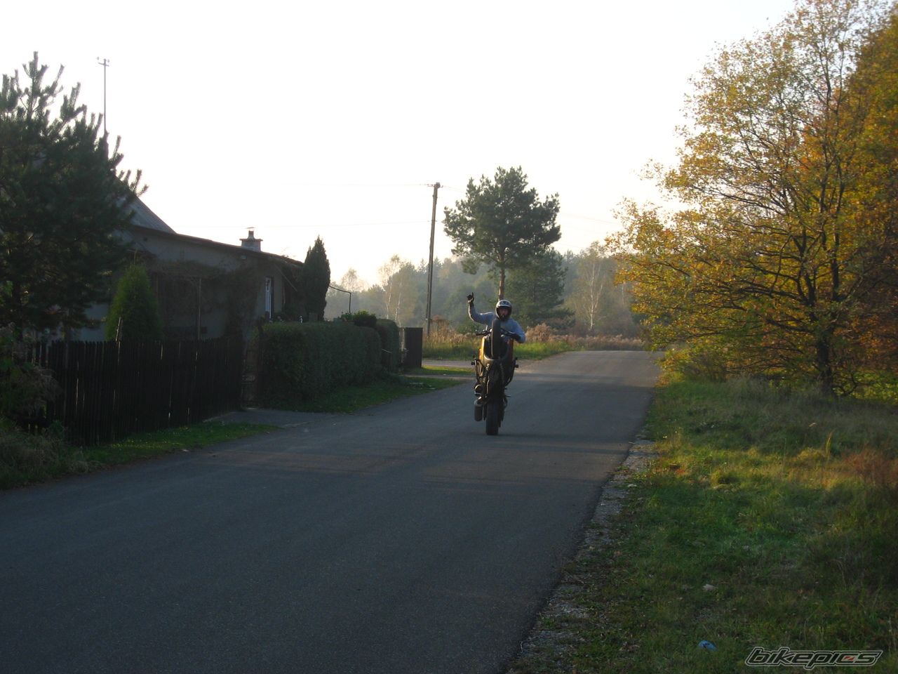 Photo 1463359