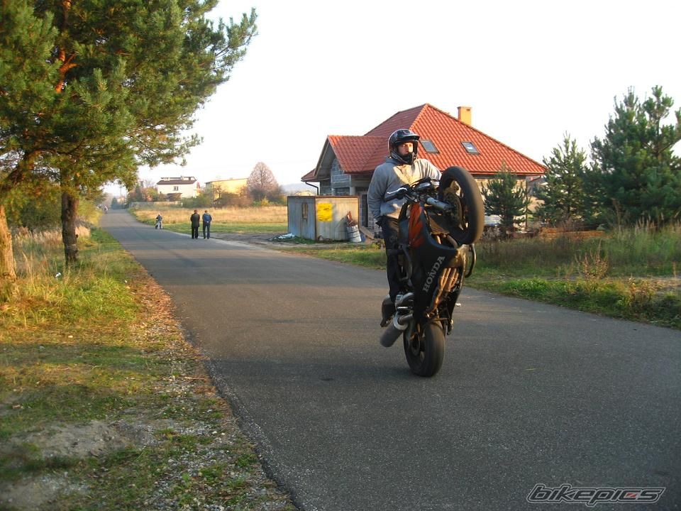 Photo 1463361