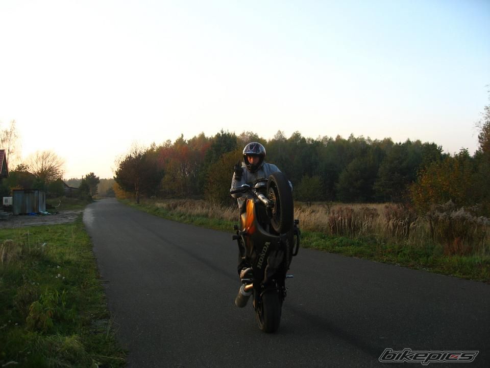 Photo 1463363