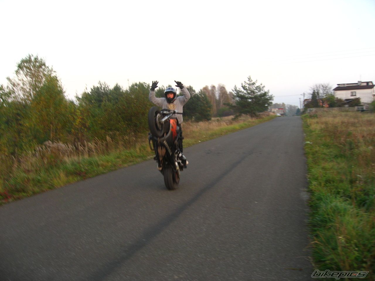 Photo 1463366