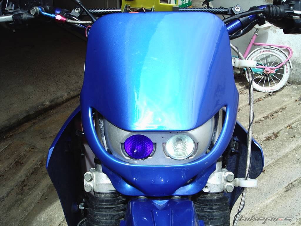 Photo 146338