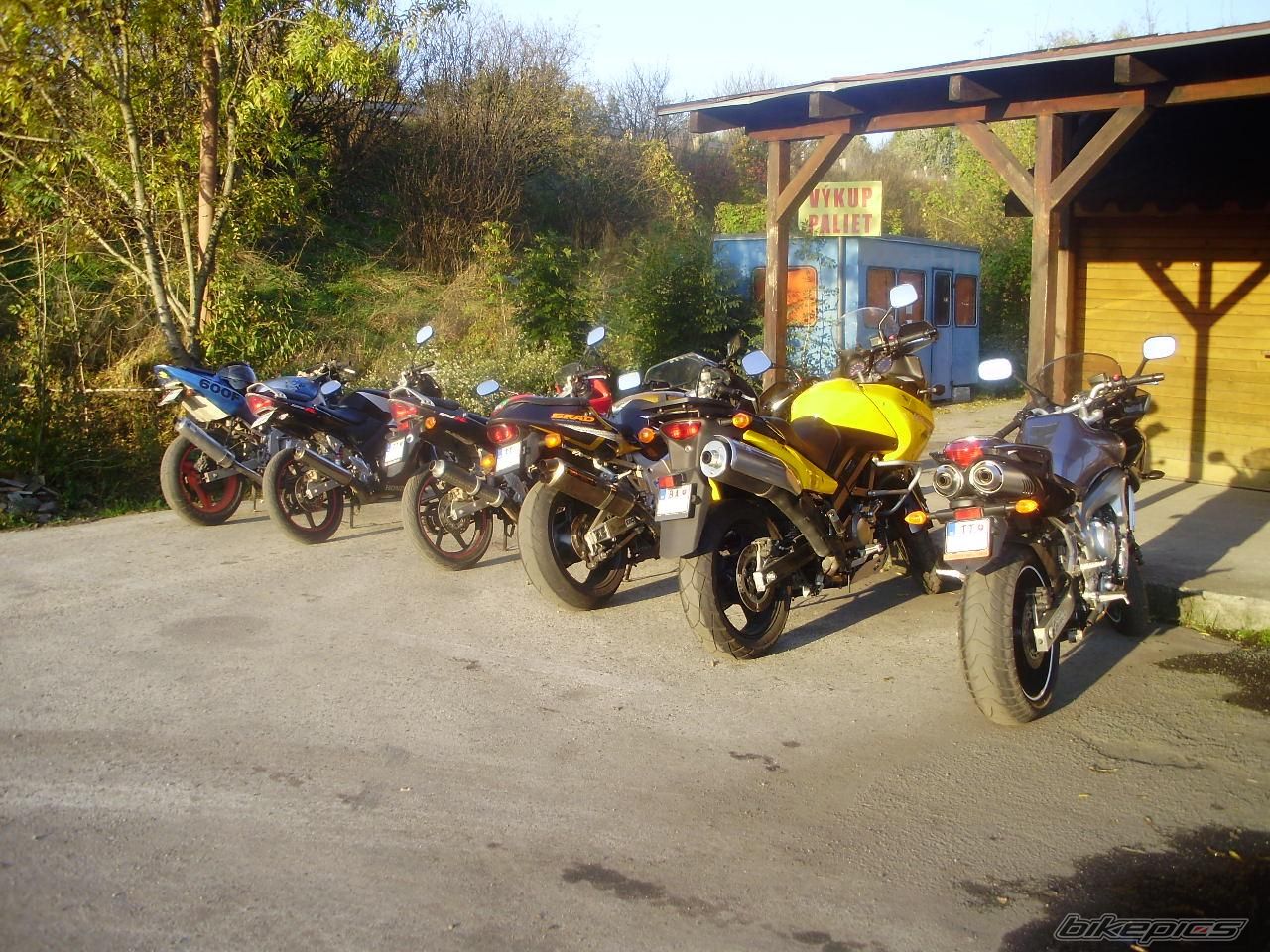 Photo 1463403