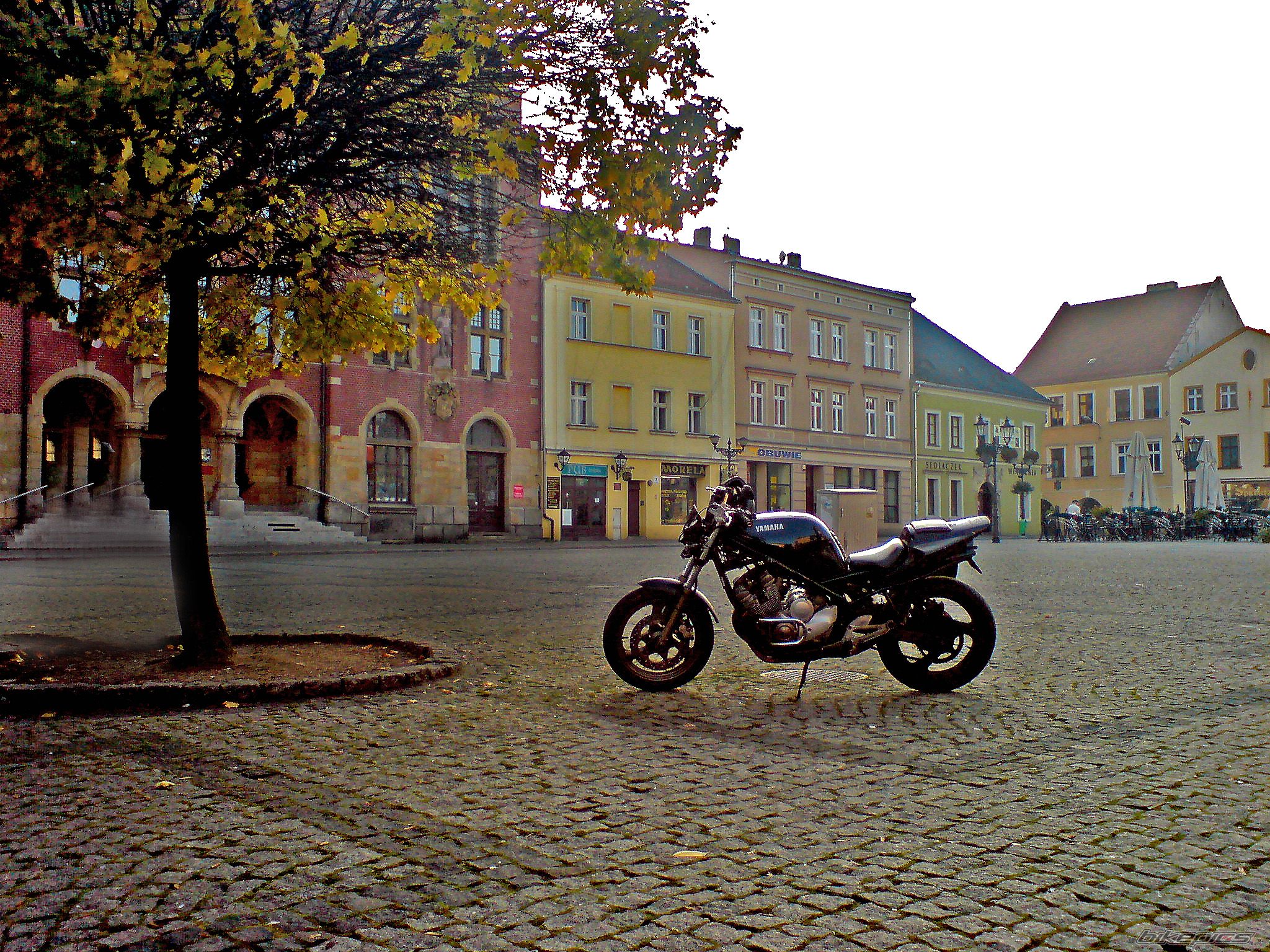 Photo 1463435