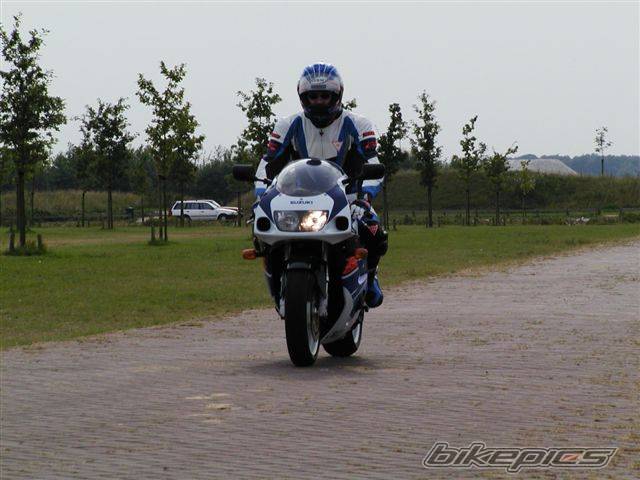 Photo 14635