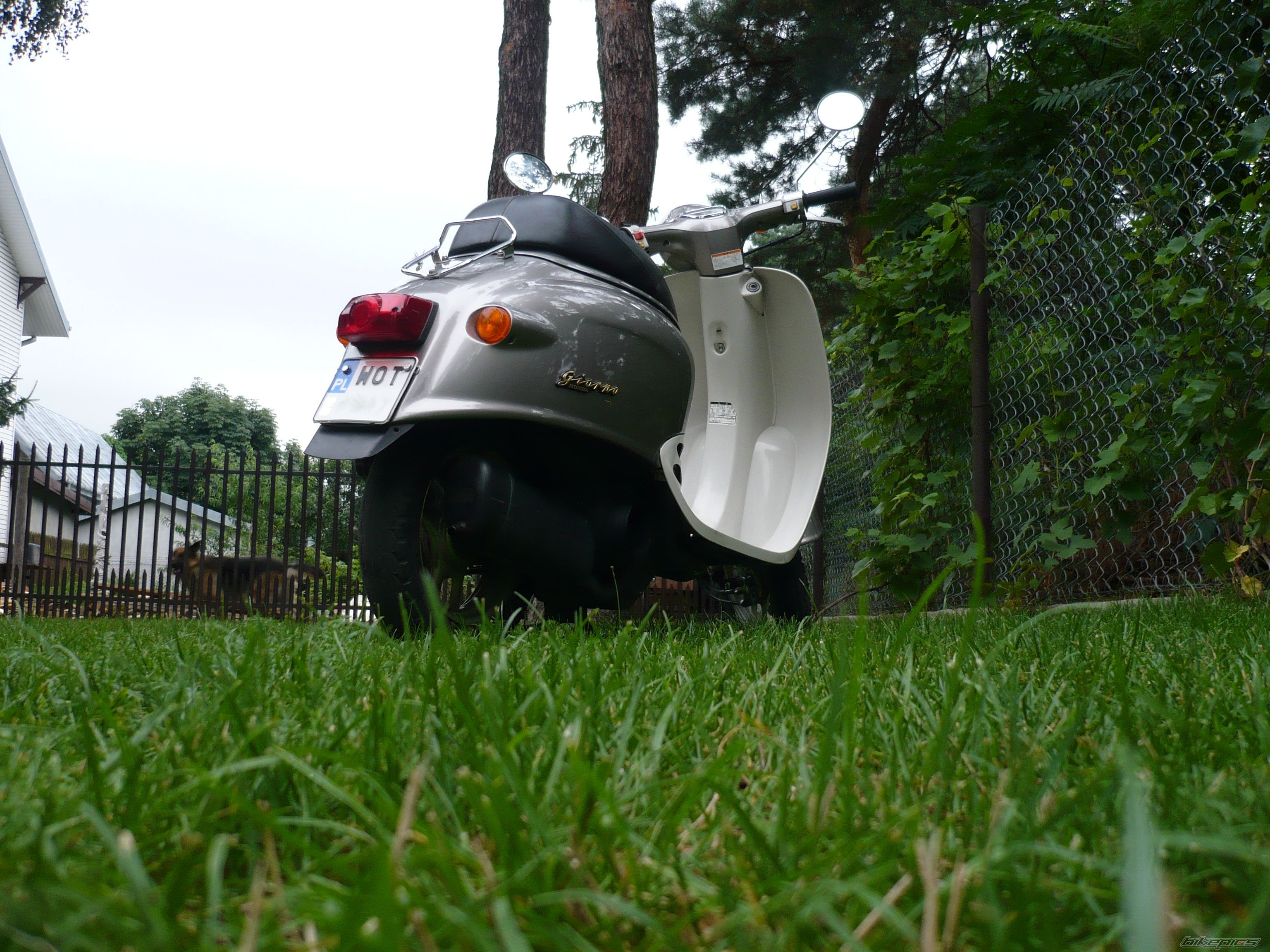Bike Photo 1463534