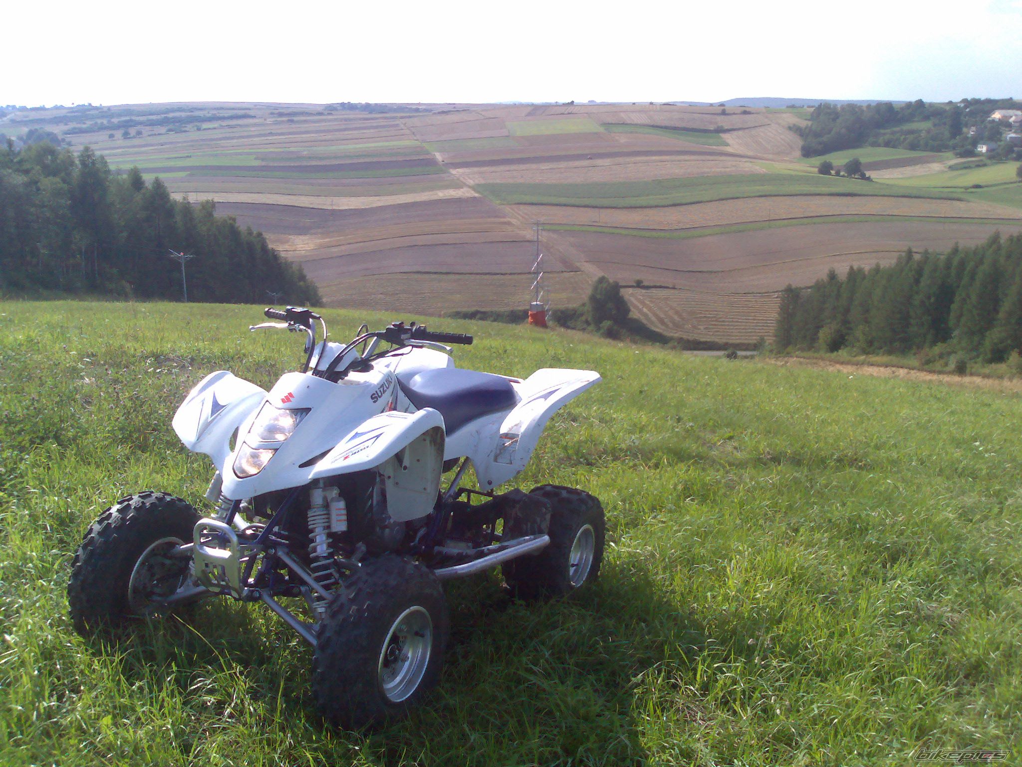 Photo 1463619
