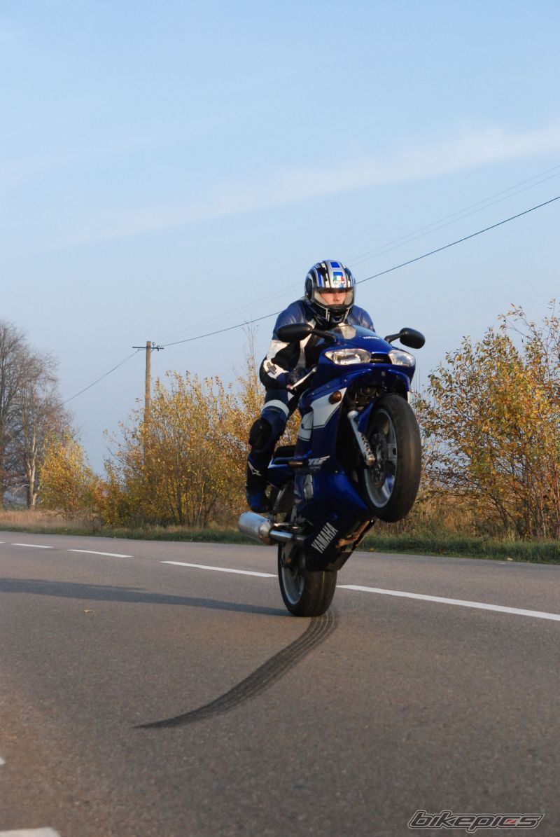 Photo 1463627
