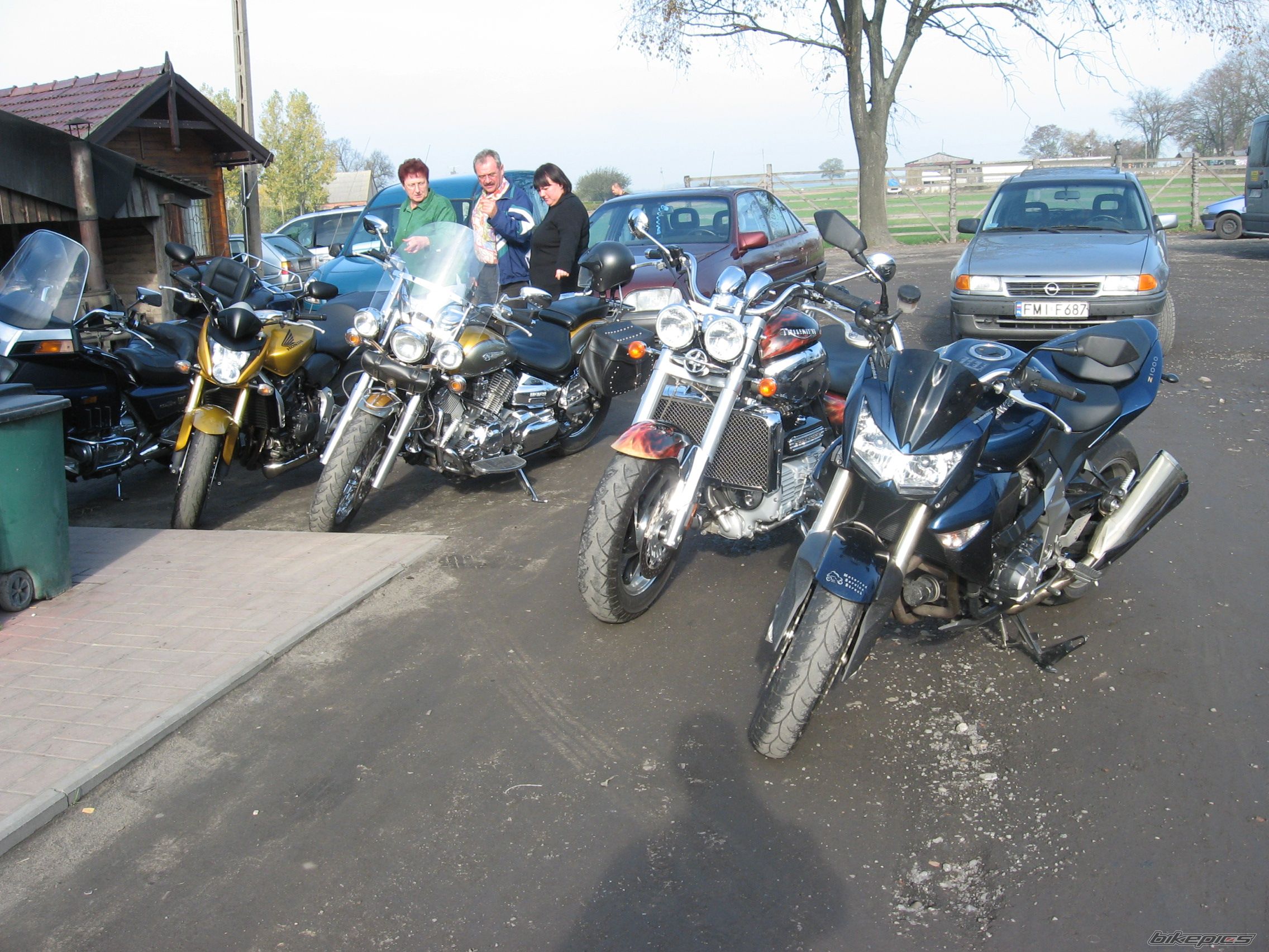 Photo 1463639
