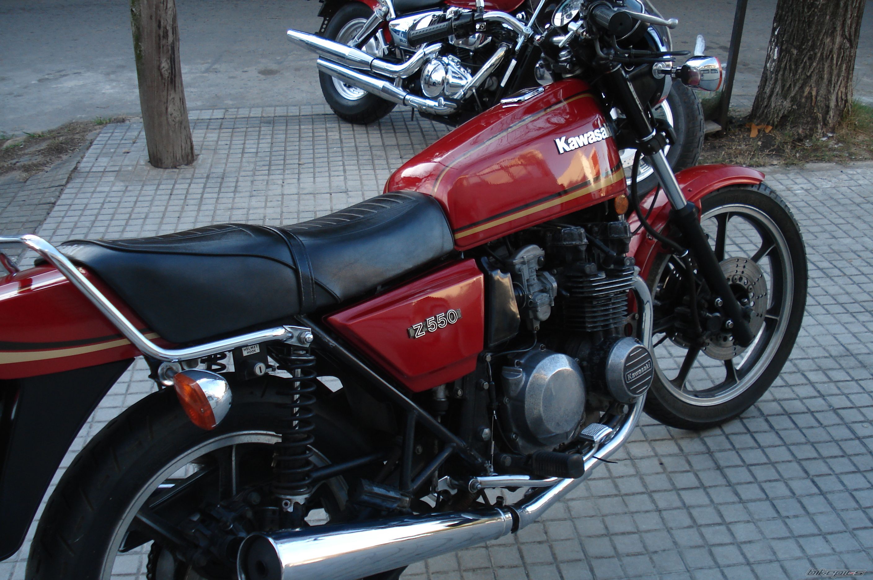 Photo 1463766