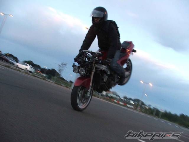 Photo 1463847