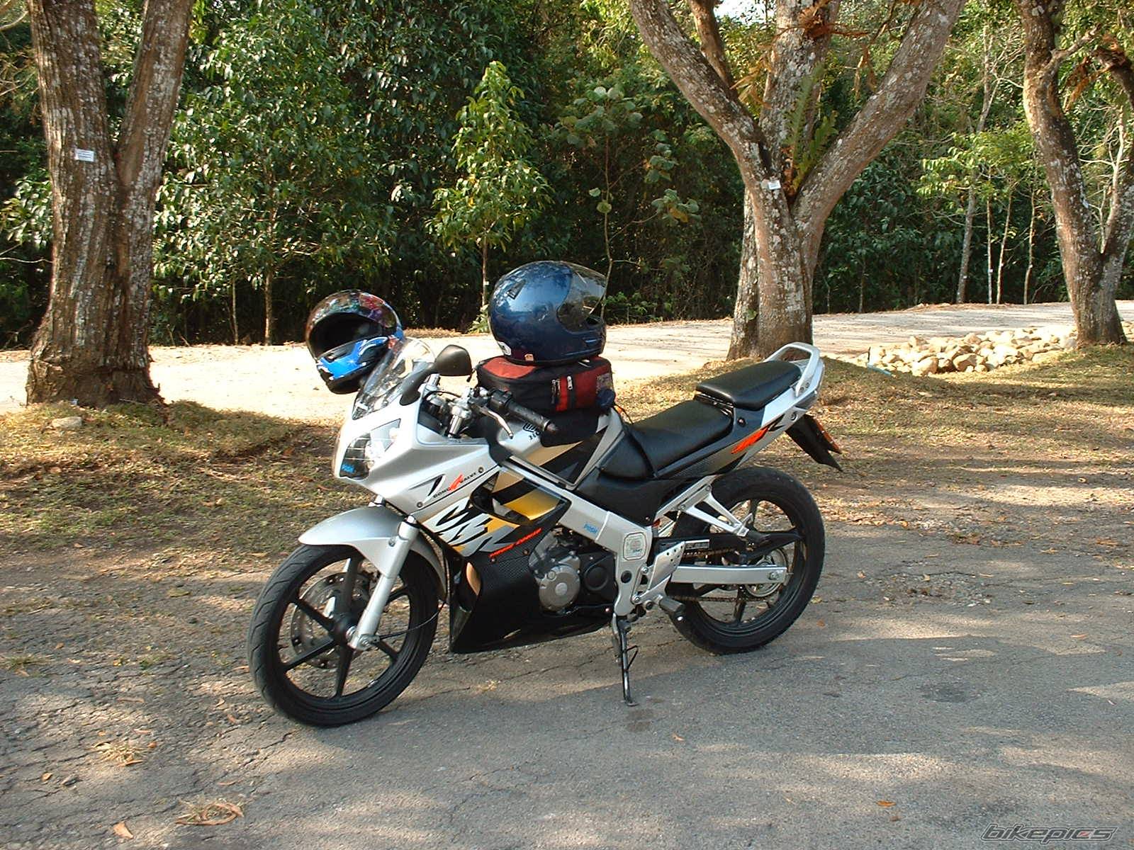 Photo 146386