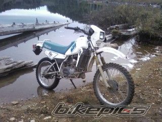 Photo 1463870