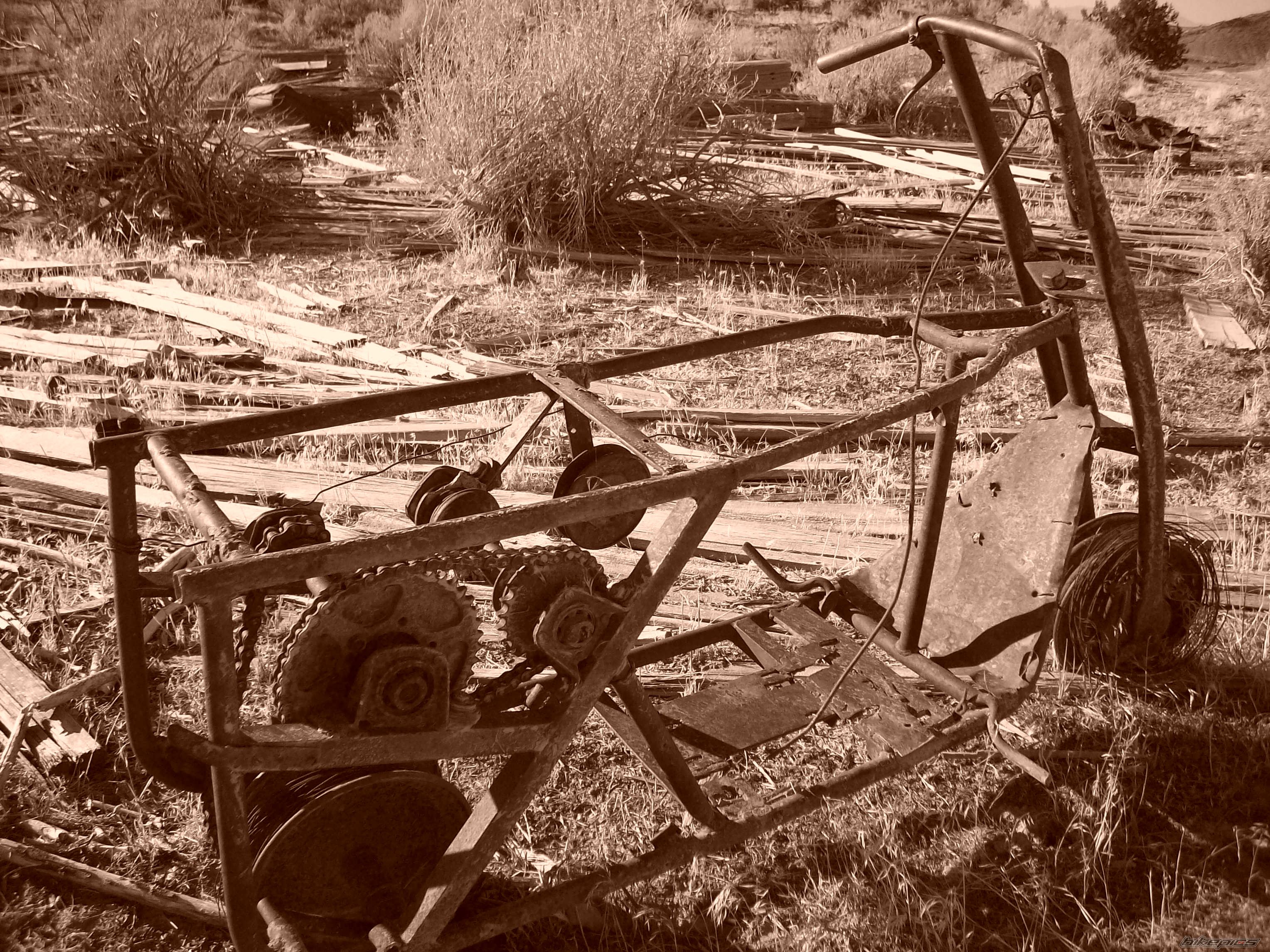 Bike Photo 1463898