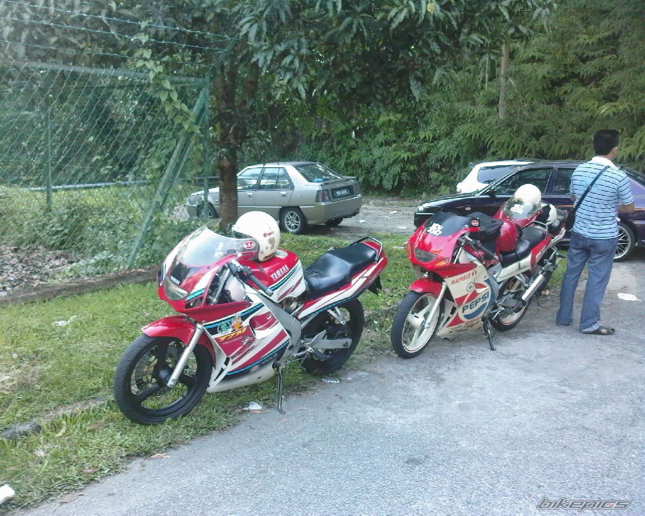 Photo 1463920