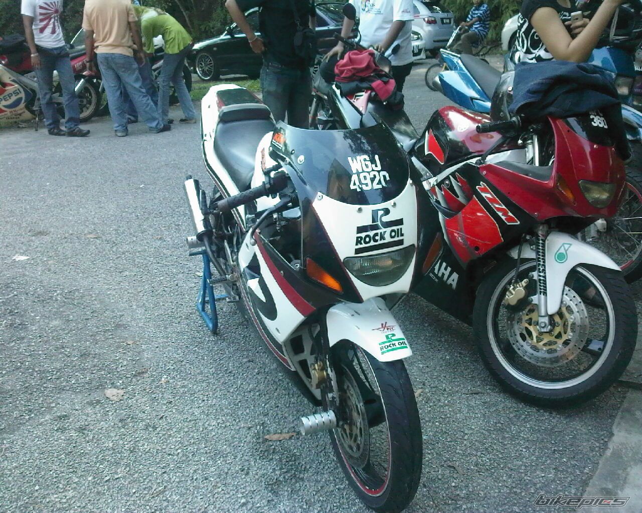 Photo 1463922