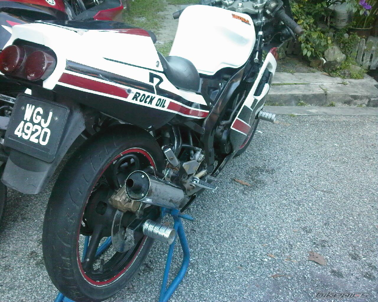 Photo 1463923